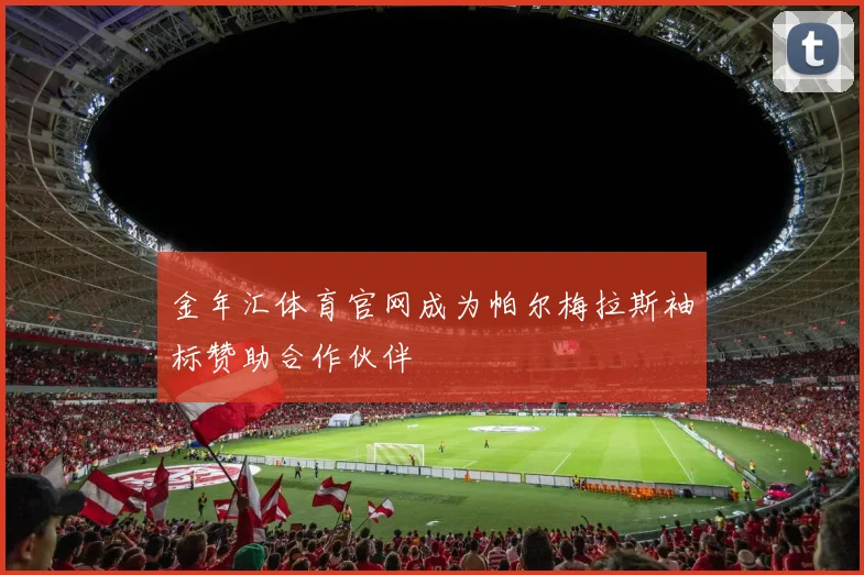 金年汇体育官网成为帕尔梅拉斯袖标赞助合作伙伴