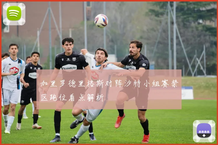 加里罗德里格斯对阵沙特小组赛禁区跑位看点解析