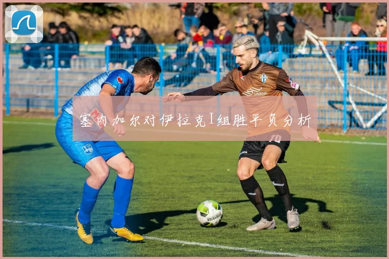 塞内加尔对伊拉克I组胜平负分析